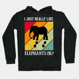 I just Really Like Elephants OK Hoodie